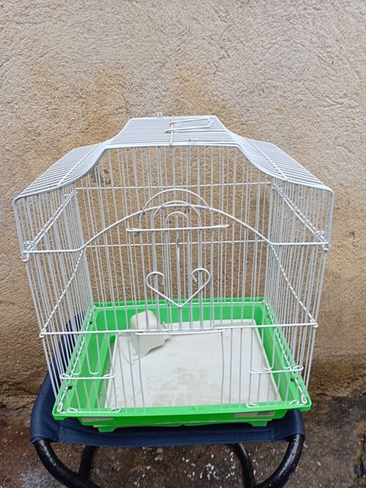 Colivie Colivia Colivia