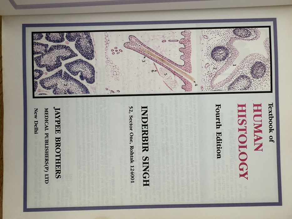 Human histology на английском языке