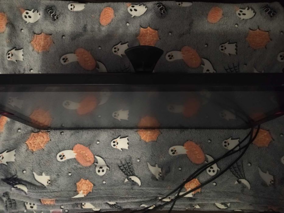 Tableta Grafica Artist XP Pen 24 Pro