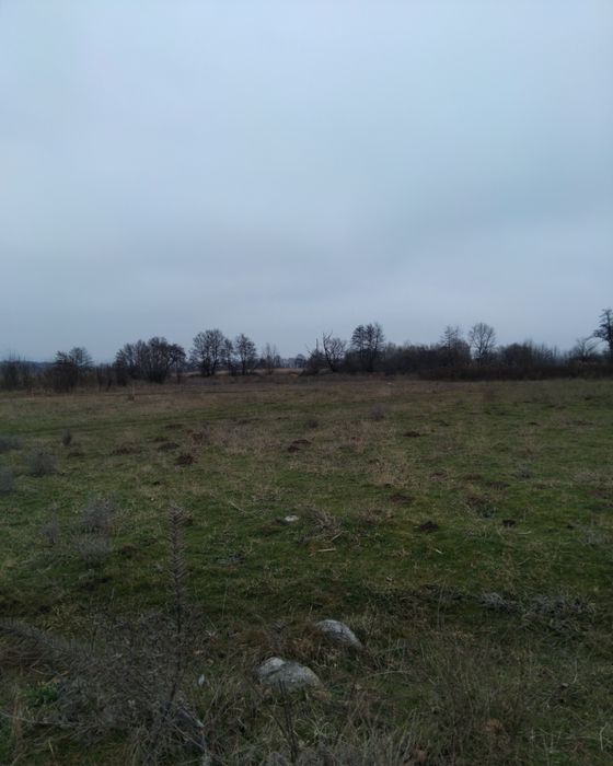 Продава се Парцел в с. Самораново, Област Кюстендил - 3200 кв.м за 10 €/кв.м - Снимка #1