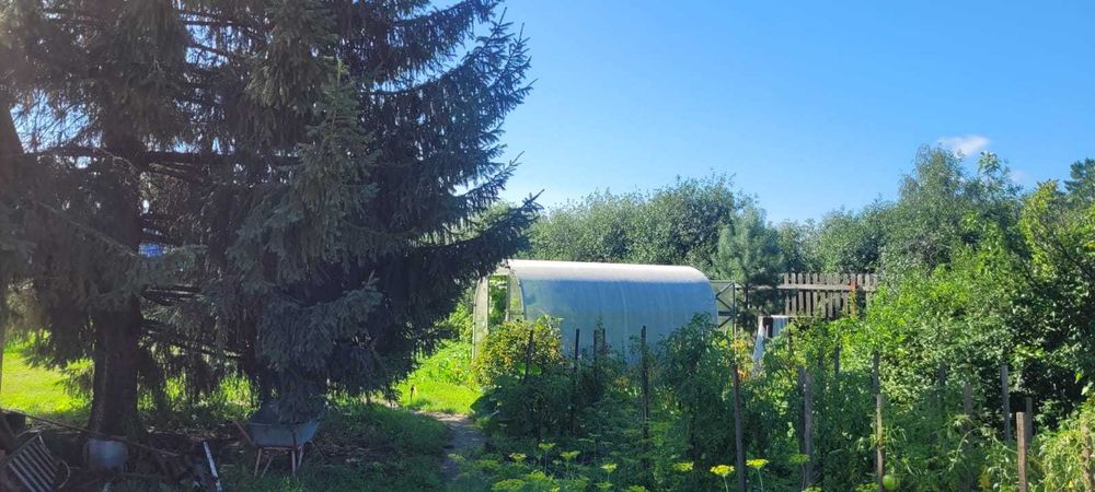 Продам дачу оо/со Горизонт