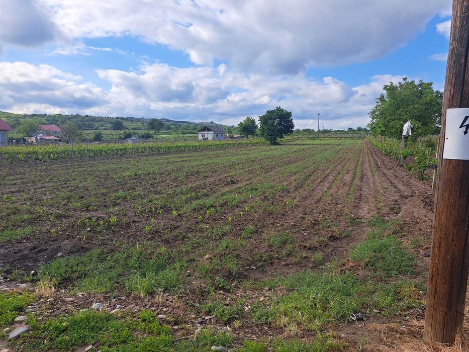 Teren extravilan in zona limitrofa orasului Dragasani