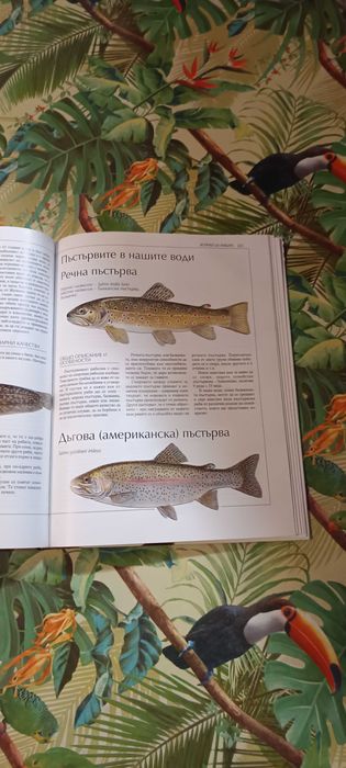 Българска риболовна енциклопедия