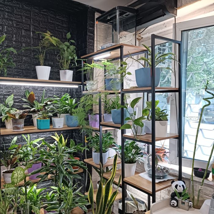 Продается готовый бизнес, действующий магазинчик ,Zoo Aqwa Flowers