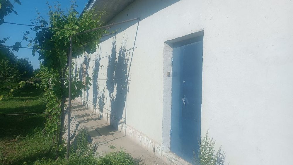 3 oyga boʻlib toʻlasa xam boʻladi