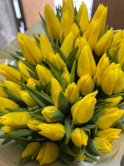 тюльпаны  290тг степногорские