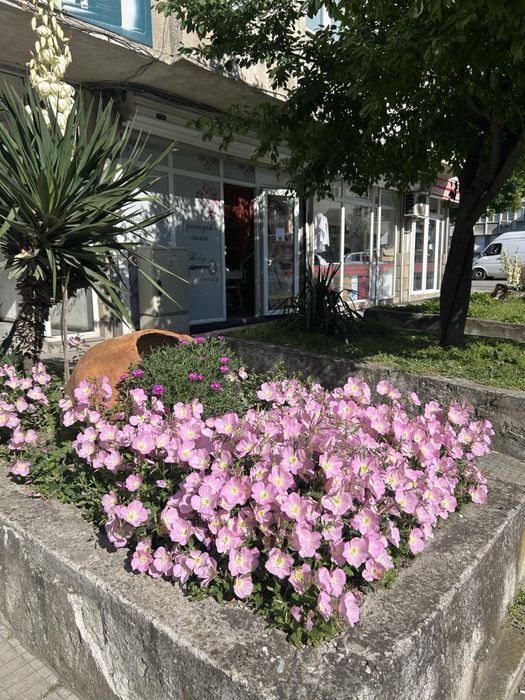 Дава се под наем  в Пловдив, Западен -  кв.м за 178.5 € - Снимка #1