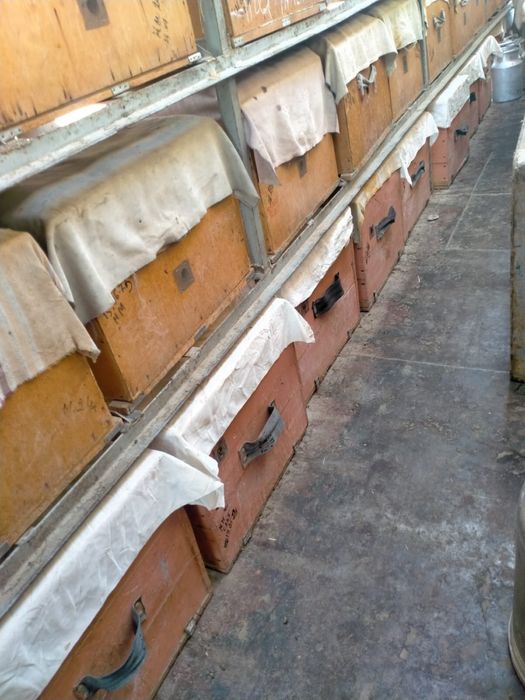 Прицеп пчеловодный