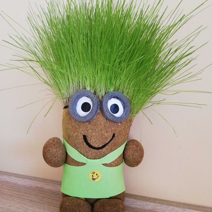 Чичко тревичко на едро