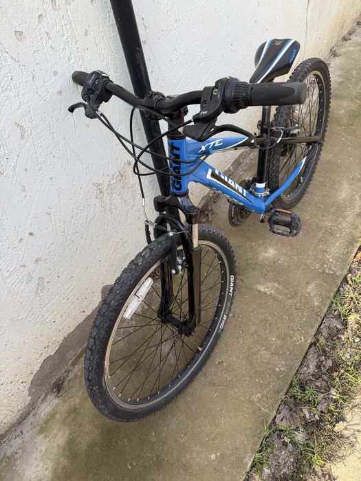 Giant xtc 24, scott, author, cub, stern