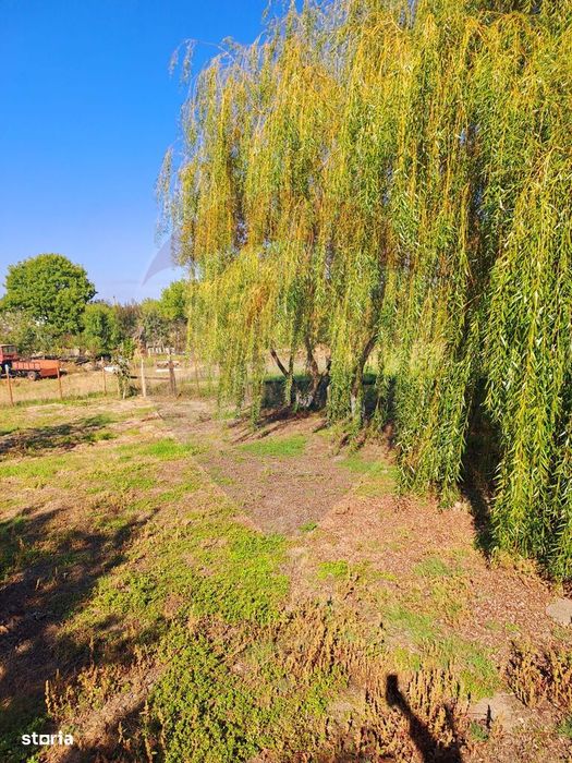 Teren intravilan 6850 mp Simnic, Izvor
