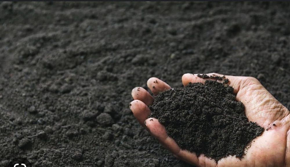 Чернозём,навоз,кара топырак гөң