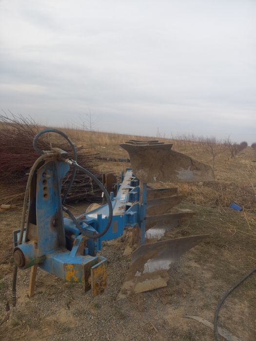 Limkent puluk sotiladi