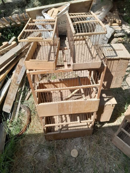 Qushlar uchun kletka inlar dublonkalar