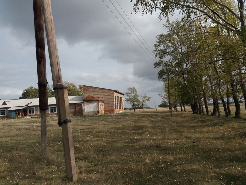 Фазенда. Продам фазенду