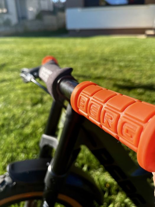 Bicicleta fara pedale BERG Biky Trail