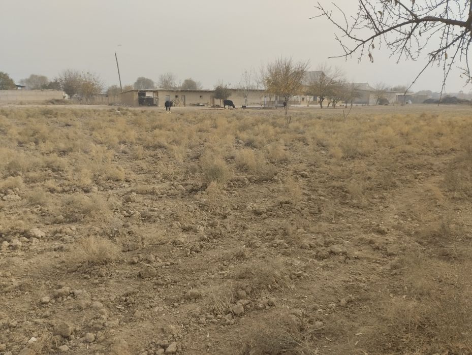 Кумкургон туманида