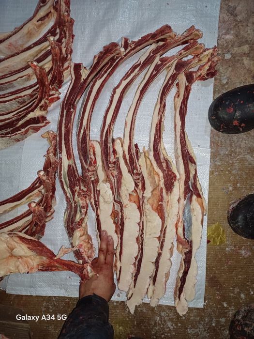 Продам соғым, байтал