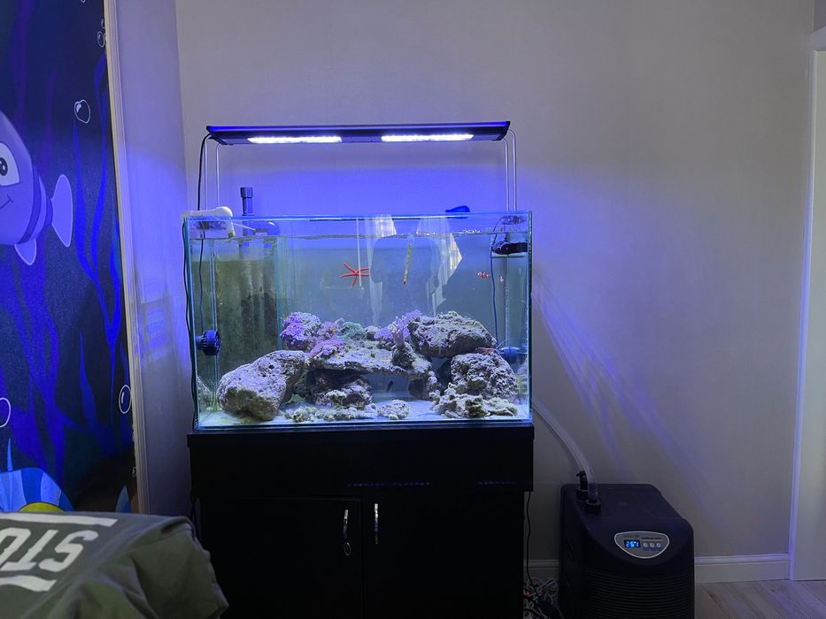 Морской аквариум