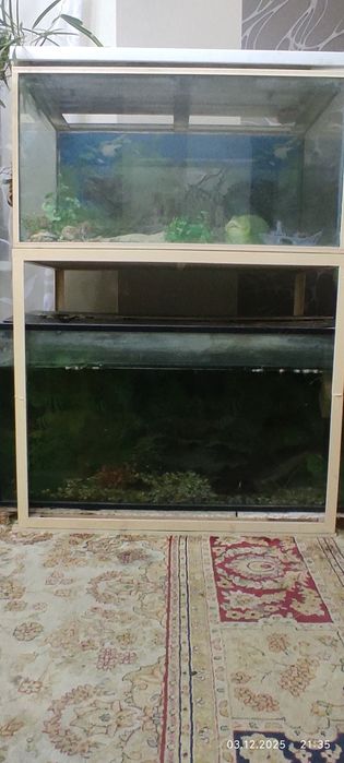 Два аквариума на стойке