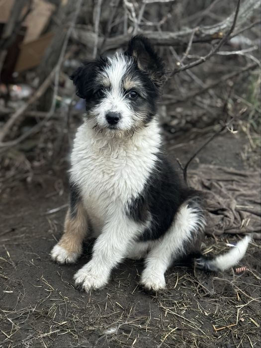 Пристраивается девочка