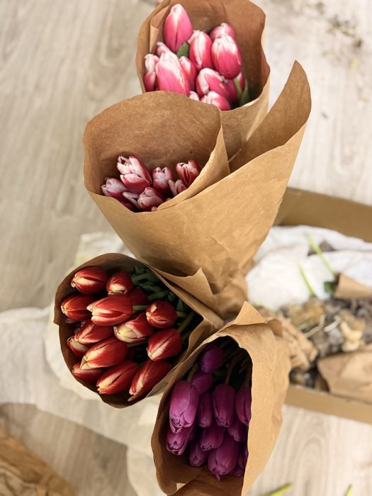 Тюльпаны беларусь свежие