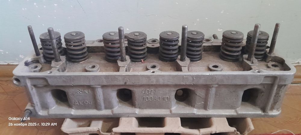 Volga galovkasi chotkiy