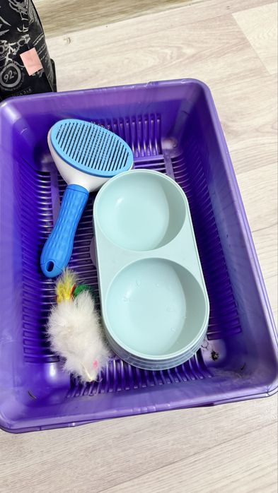 Продам вещи для кота