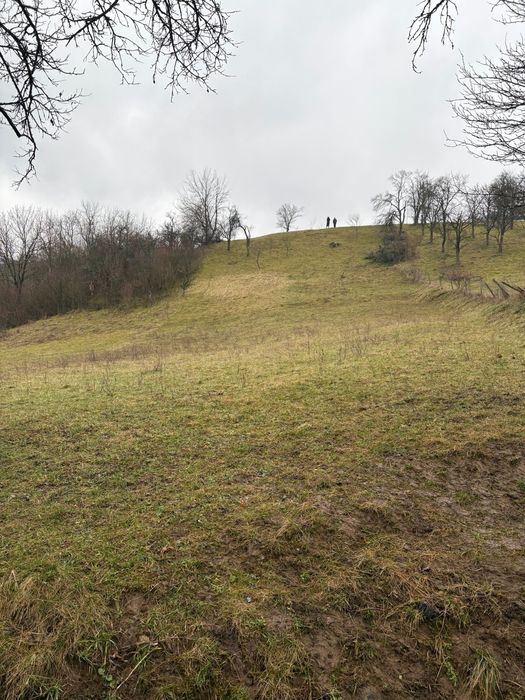 Vand teren intravilan Suncuius