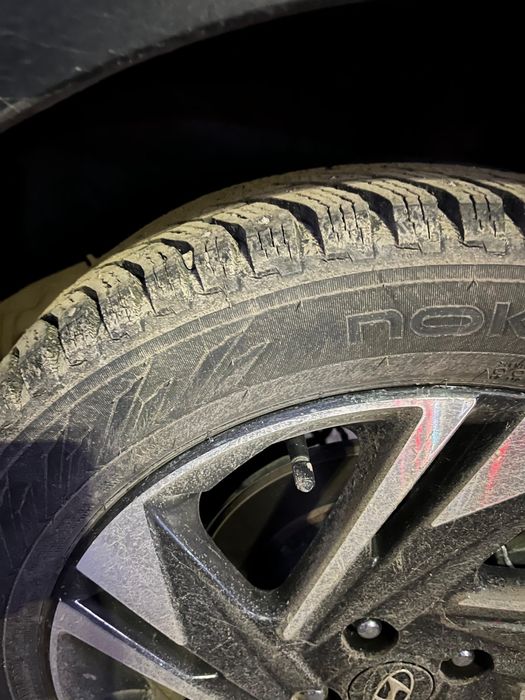 Продам шины Nokian 195/55 R16