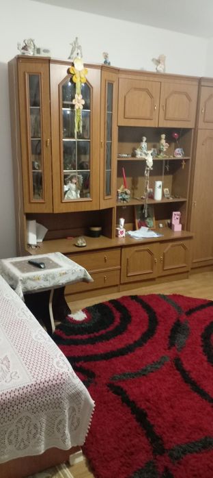 Primesc in chirie o femeie