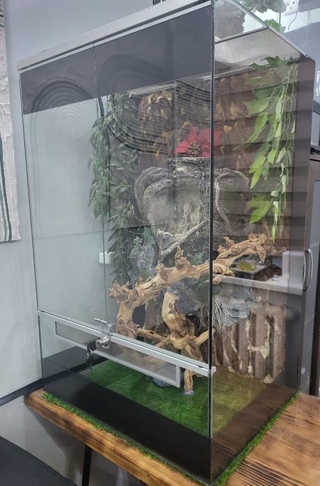 Террариум  для хамелеона