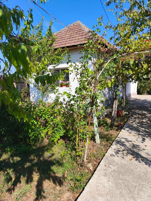 Casa de vânzare Dragasani/ Valcea