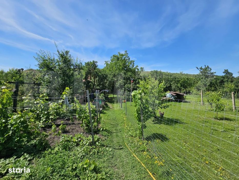 Casa renovata, 4.237mp teren intravilan, Dublu front stradal, Razboien