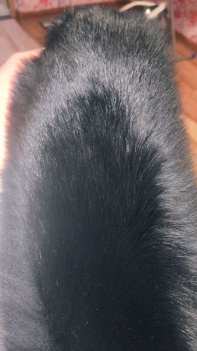 Натуральная дублёнка