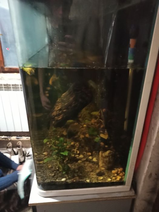 Огромный аквариум