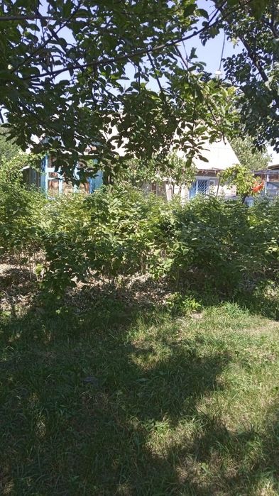 Продается дача в районе Бау Бакша