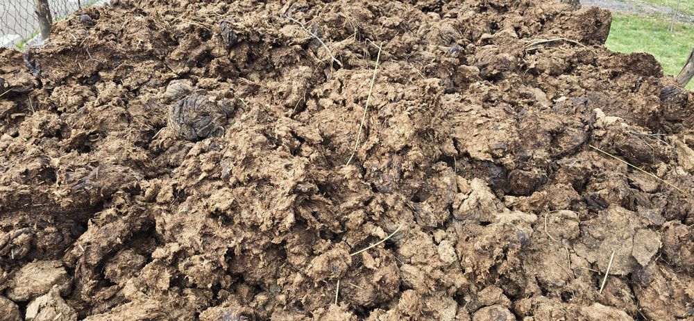 Oferta!De vânzare!!Gunoi de vaca!!