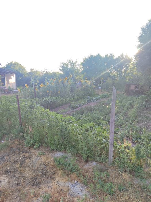 Участок 7.280 соток  ПК СТ Радугаа