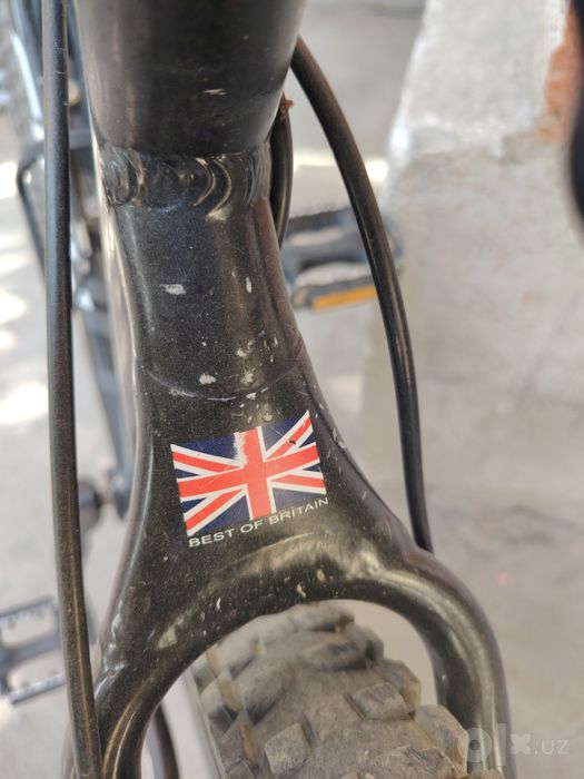 Velik arginal Britaniyadan kelgan
