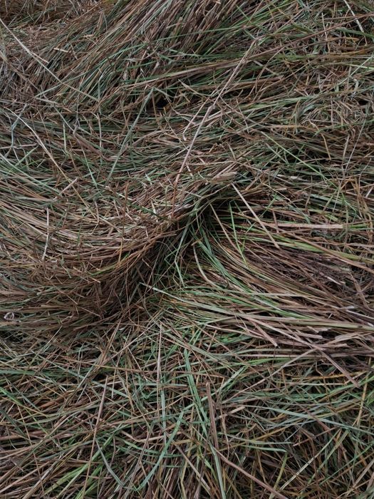 Продаётся сено..