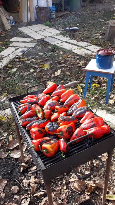 Zacusca de vinete cu ciuperci, bio