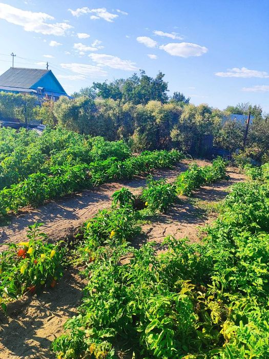 Продам дачу на 1- й водоколонке