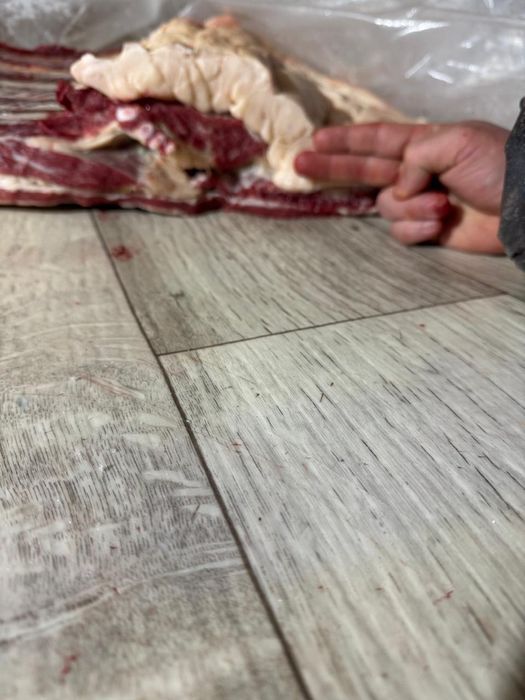 Продаём мясо конины