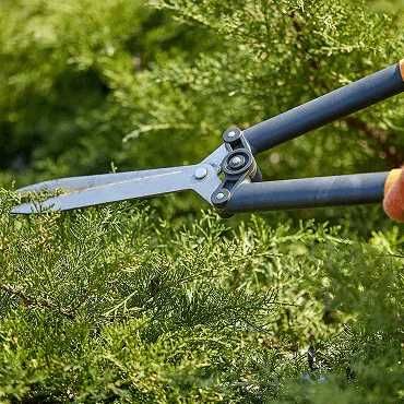 Рязане на дървета -> Почистване на дворове