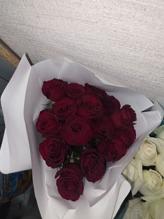 Продам цветы живые