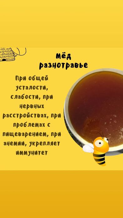 Катон Қарағайдың меды
