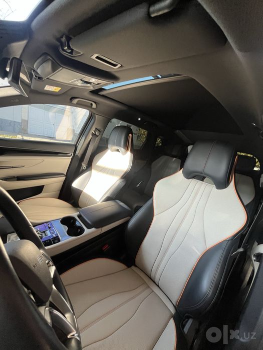 BYD chempion full 605