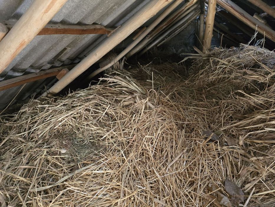 Somon joxari beda aralash sotiladi