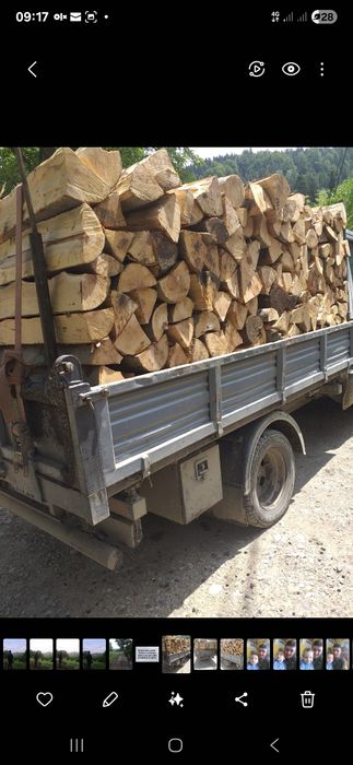 Lemne foc fag și cherestea